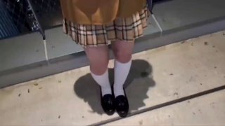 国产美女免费在线视频,国产精品免费大片一区二区高清